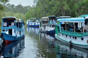 Trans Borneo Expedition 2014     